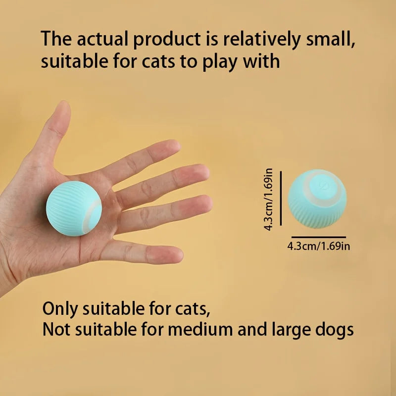 ZiggyBall